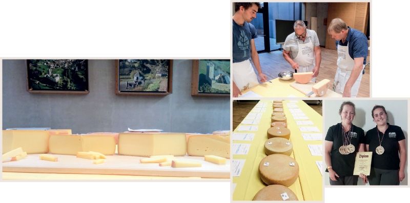 Oben: Bewertung der Käse an der Fürstenburg, rechts: Goldregen für Elisabeth Haid und Jasmin Stecher (Kaproner Alm) bei der Käseolympiade in Galtür