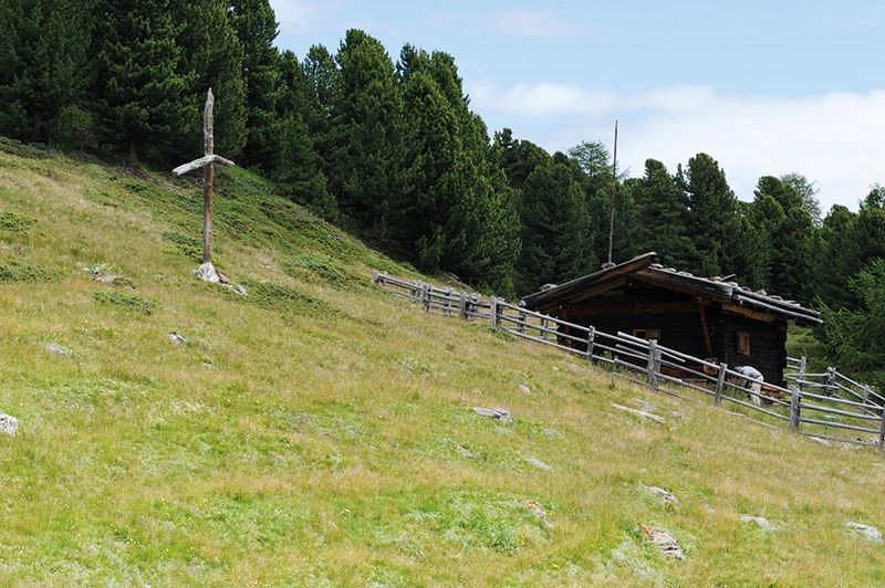 Zirbenwald und Magerrasen  auf der Pederstieralm