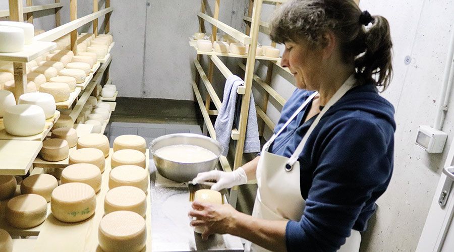 Seine Mutter Esther Kyburz veredelt  dort seit Jahren Ziegenmilch