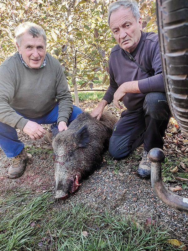 Egon Paulmichl und Robert Sagmeister mit dem erlegten Wildschwein