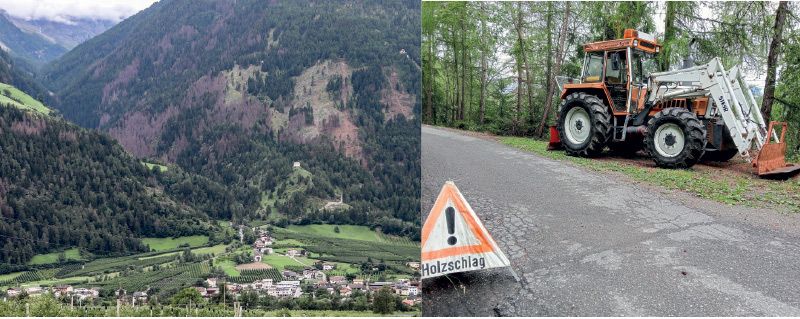 Im Bild der starke Befall oberhalb von Laas. Im Vinschgau sind vor allem die Wälder der Gemeinden Laas, Prad und Taufers stark vom Borkenkäferbefall betroffen. rechts: Ein häufig zu sehendes Bild in diesem Sommer: Holzschlägerungen, um dem starken Käferbefall Einhalt zu gebieten.