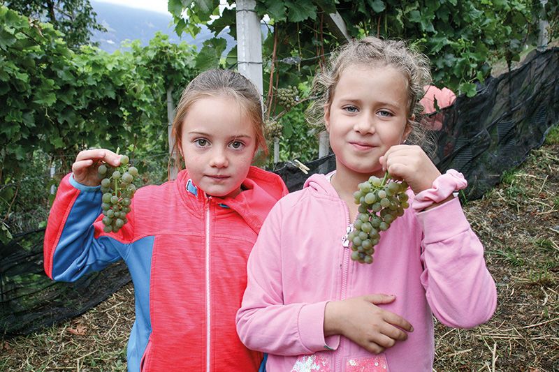 Sie verkosten die Trauben: Samira Luggin und Elonita Bega