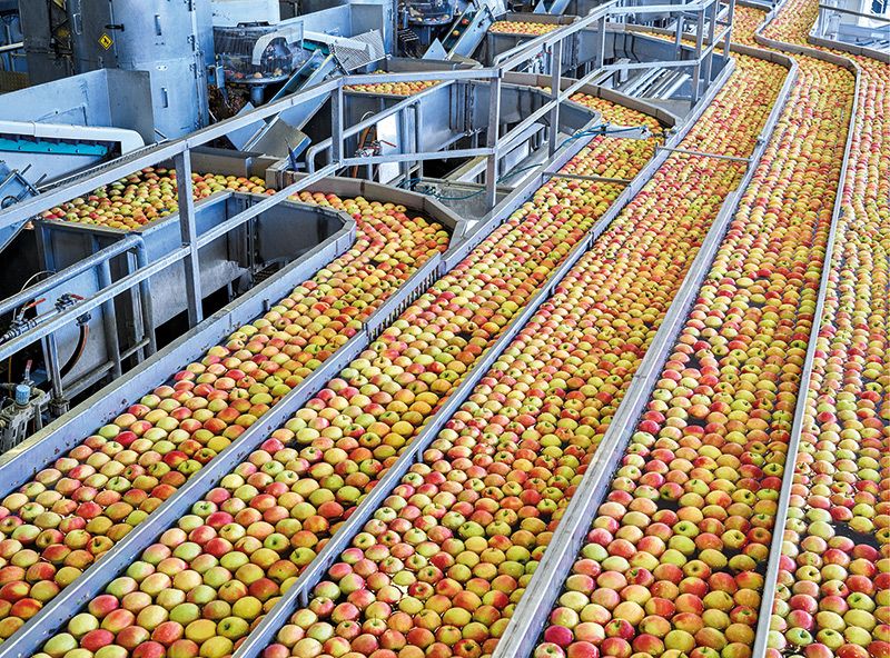 Zu klein, zu groß oder zu wenig farbig: Die von VOG Products weiterverarbeiteten Äpfel werden z.B. zu Apfelsaft, Apfelpüree oder Konzentrat weiterverarbeitet. Volkswirtschaftlich betrachtet, werden auf diese Weise Ernte- und Nachernte-Verluste vermieden.