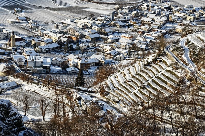 Wie Stiegen zum Himmel prägen die Steiln, diese alten Terrassenfelder aus Trockenmauern, das Landschaftsbild am Sonnenberg rund um Schlanders. Es sind Zeugnisse einer alten Bautechnik, aber auch vom Einsatz und Fleiß unserer Vorfahren. (Fotos: Gianni Bodini)