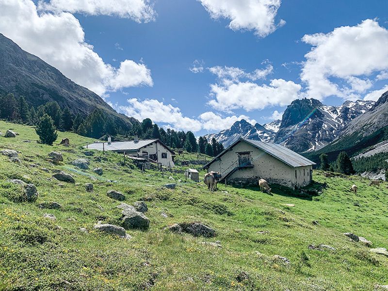 Natur- und Landschaftsschutz stehen mit der touristischen Nutzung der geplanten SAC Hütte Alp Sprella optimal im Einklang.