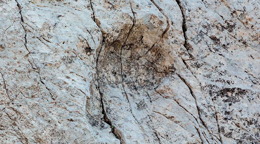 Detail eines Fußabdrucks. Die Ähnlichkeit mit dem Ichnogenus Pseudotetrasauropus ist groß, aber nicht vollständig. In jedem Fall muss es sich um einen pflanzenfressenden Dinosaurier ähnlich dem Plateosaurus engelhardti handeln. Foto von Elio Della Ferrera, Arch. PaleoStelvio (PNS, MSNM, SABAP CO-LC)