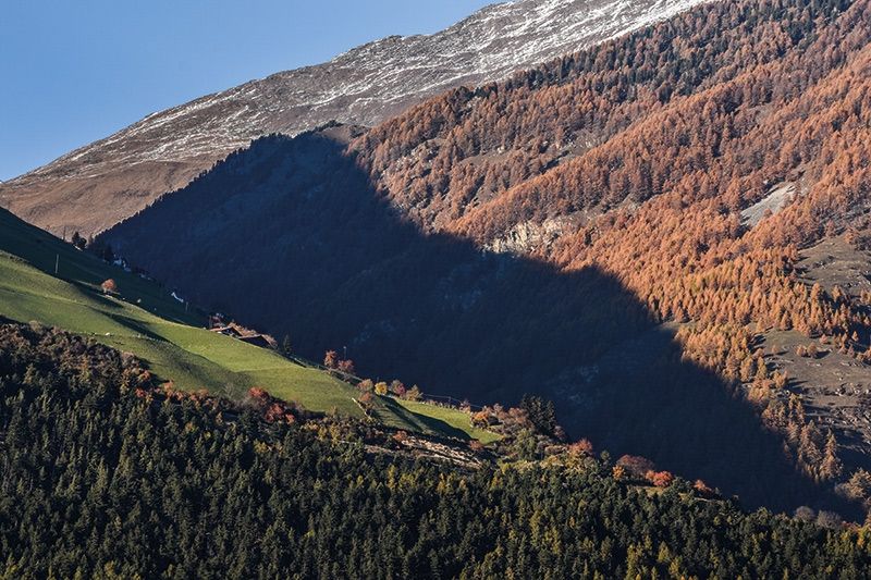 Am Schlanderser Sonnenberg.