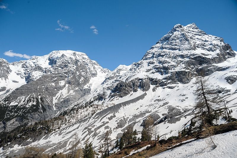 21. Mai 2021: Auswintern am Drei-Ferner-Weg zwischen der Franzenshöhe und der Berglhütte an der orographisch rechten Seite im oberen Trafoital