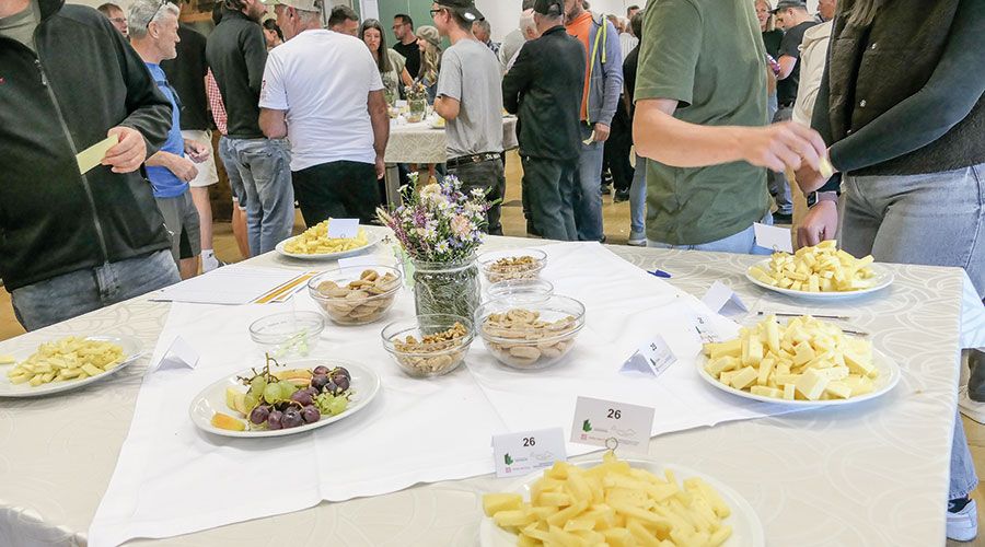 Publikumsverkostung für alle Interessierten in der Fürstenburg