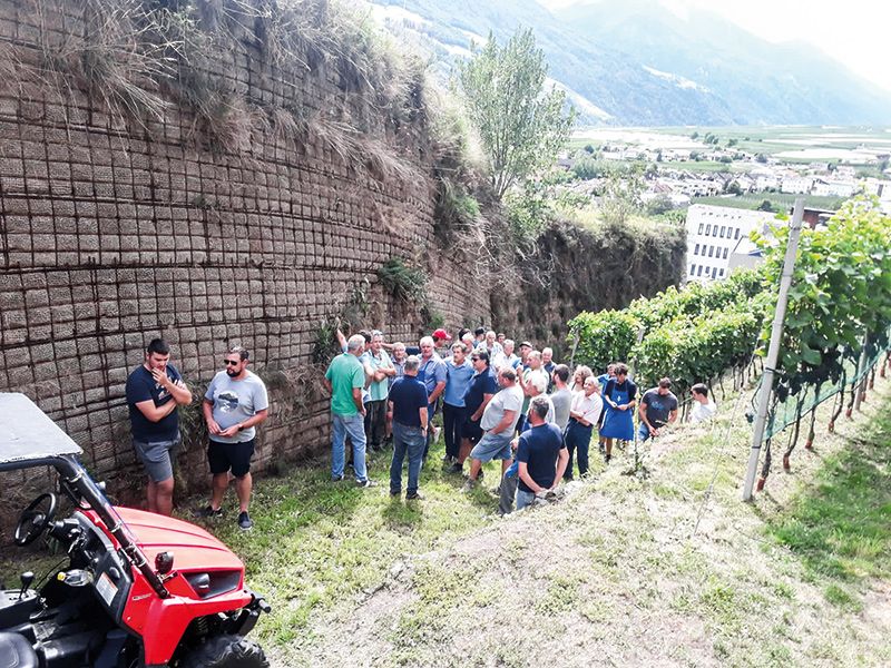 Die Mitglieder des Vinschger Weinbauvereins treffen sich jährlich zu Flurbegehungen in Vinschger Weinbergen, wo sie sich austauschen. Heuer war die Gegend bei Schlanders das Ziel.