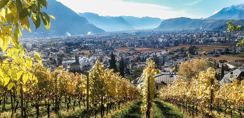 Bozen im Dezember 2021: Wieviel Verstädterung braucht und verträgt die Gesellschaft lokal und global? Wieviel Verbauung von Landschaft können und wollen wir uns in Zukunft (noch) leisten?