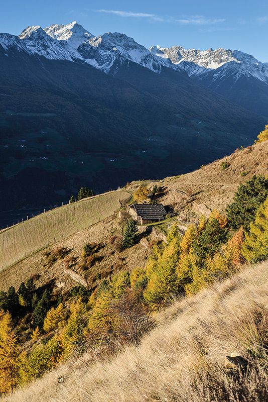 Der Vinschger Sonnenberg.