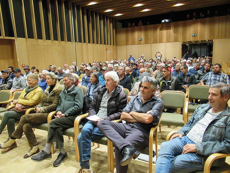 Im Film von Peter Grutsch (zweiter von rechts): „Stilz, seine Schof und die Leit, friar und heint“ wird klar, dass die Schafe zu Stilfs gehören, genauso wie der Ortler, das Pfluagziachn und andere Bräuche.