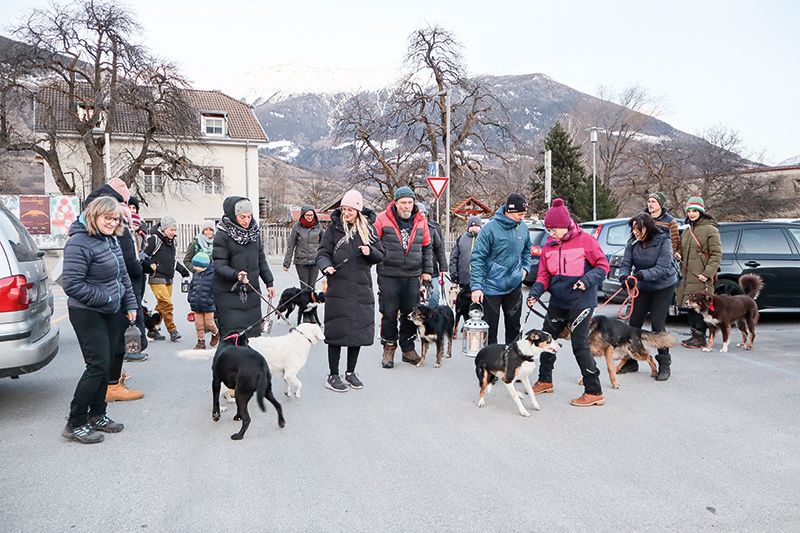 Eine außergewöhnliche Lichterwanderung am Tag vor dem Hl. Abend mit Vierbeinern in Glurns. Ausgangspunkt war das Malser Tor