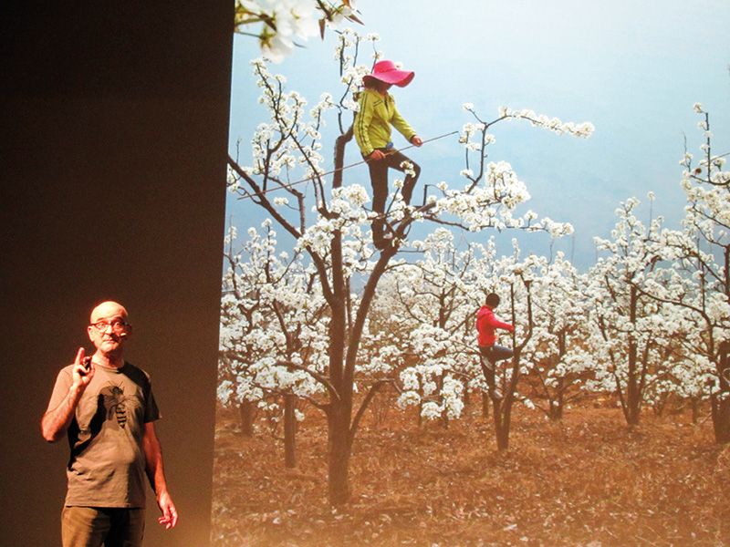 Spannende Einsichten in die Welt der Bienen, präsentiert von Franco Bernard am 25. Mai im Kulturhaus Schlanders. Müssen in Zukunft Menschen die Bestäubung übernehmen, wie es in China schon geschieht?