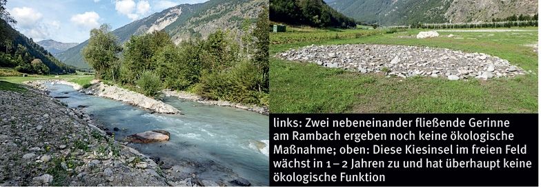 links: Zwei nebeneinander fließende Gerinne am Rambach ergeben noch keine ökologische Maßnahme; oben: Diese Kiesinsel im freien Feld wächst in 1 – 2 Jahren zu und hat überhaupt keine ökologische Funktion