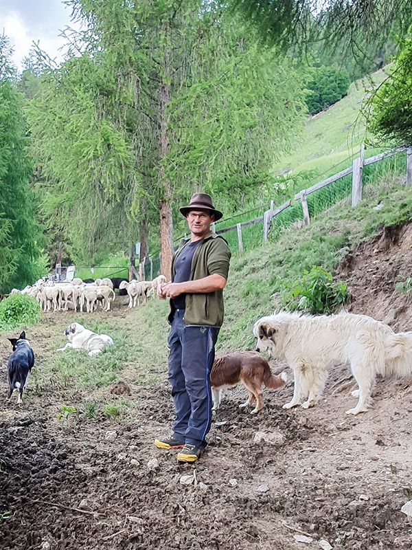 Joachim Steiner mit den Herdenschutzhunden Elmo und Freya