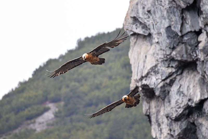 Foto: Martin Theiner