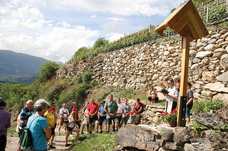 Pfarrer Werner Mair segnet das neue Wegkreuz in den „Scheanen“ bei Schluderns, wo viele Rebanlagen angelegt worden sind